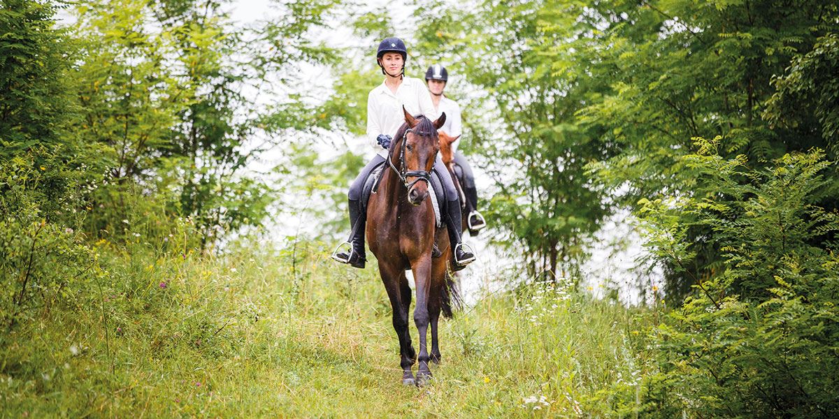 Why not explore the region on horseback?