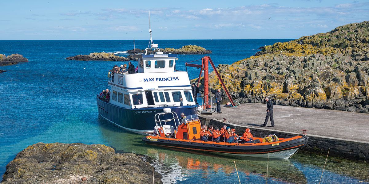 Enjoy a boat trip on the May Princess to see beautiful seabirds and seals up close