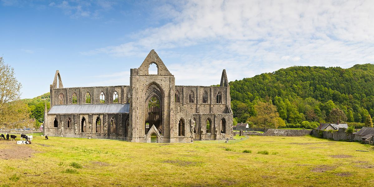 Tintern Abbey