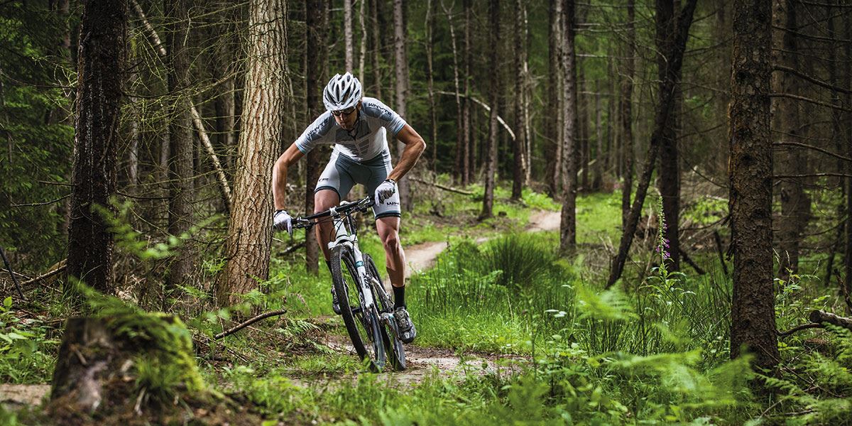 The Forest of Dean offers a vast range of mountain bike trails