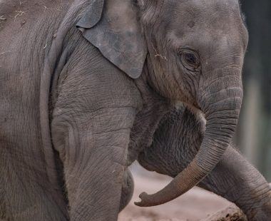 10 things you must do in Cheshire