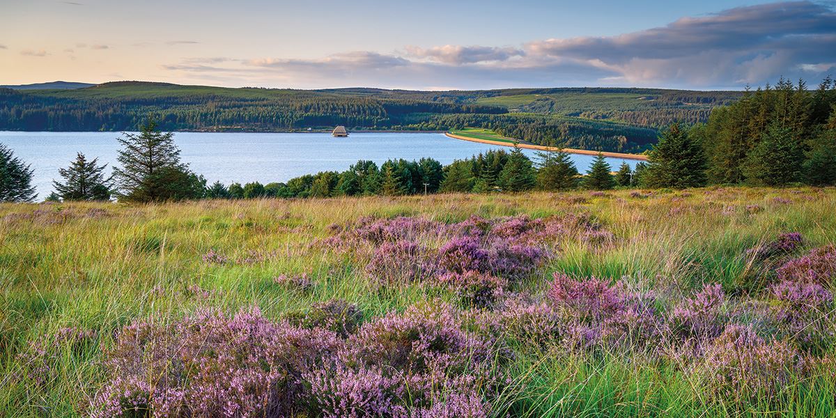 Kielder Water and Forest Park