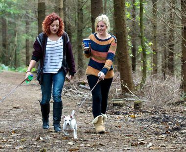 Top 10 reasons to visit Herefordshire