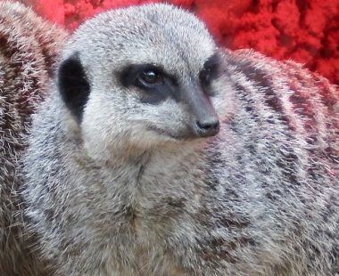 Top 10 things to do in Wiltshire