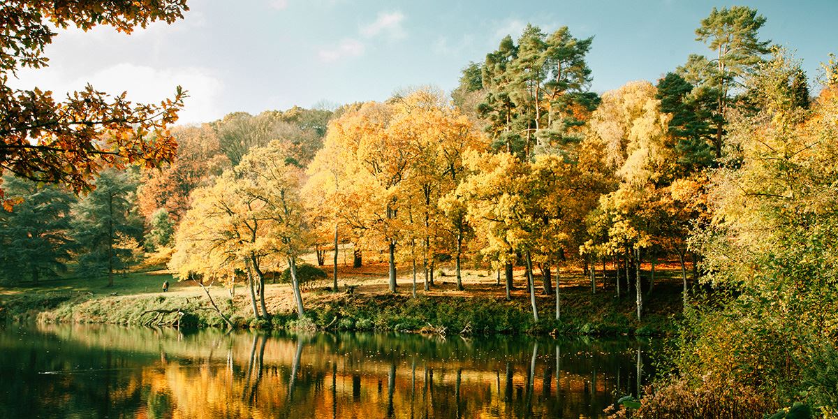 Winkworth Arboretum in autumn is a must-visit attraction all year round