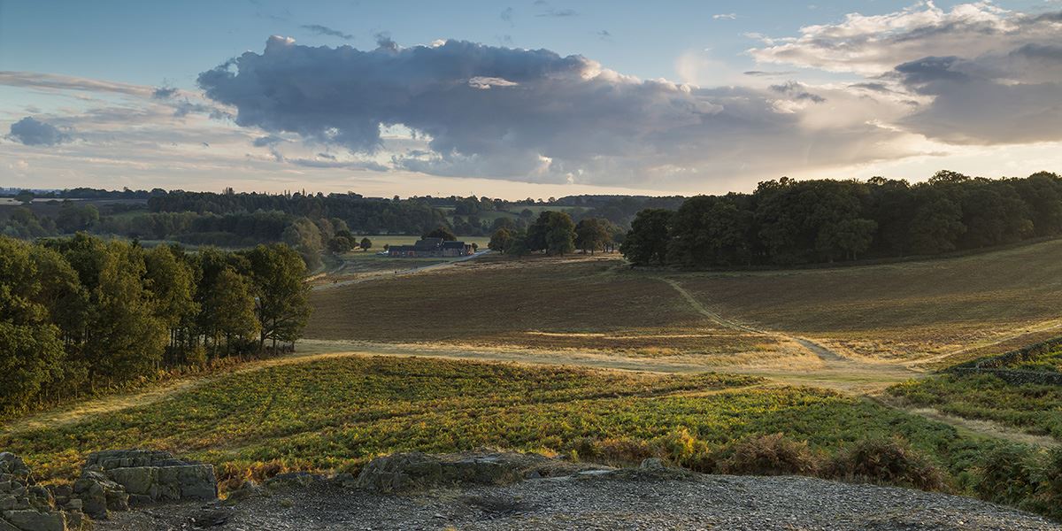 Take a walk around the wonderful Bradgate Park