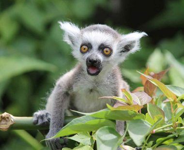 Top 10 things to do in Oxfordshire