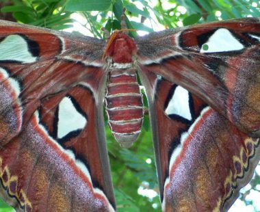 Top 10 things to do in West Yorkshire