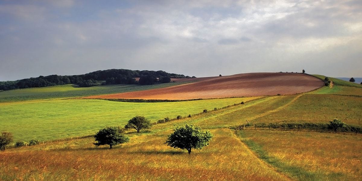 Discover the beauty of the Chilterns