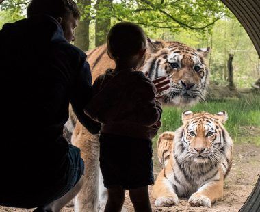 Top 10 things to do in Liverpool