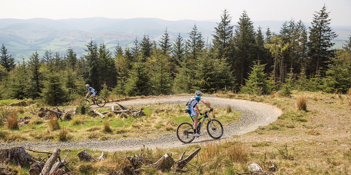 Explore the famous trails of Glentress