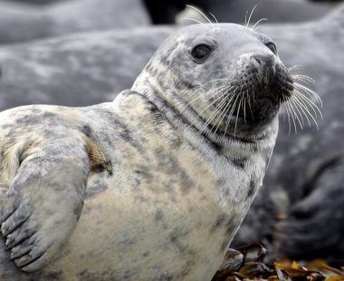 Top 10 reasons to visit Fife and St Andrews!