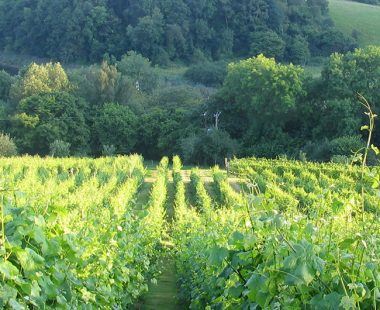 Top 10 reasons to visit Monmouthshire