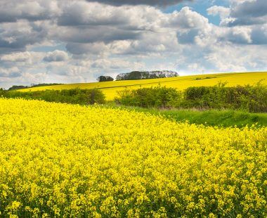 Top 10 reasons to visit Lincolnshire