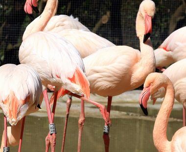 How to spend 48 hours in Surrey