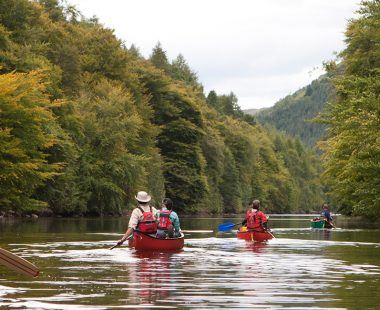 Sport in Stirlingshire, Falkirk and Clackmannanshire