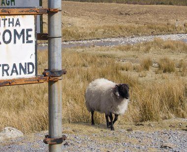 Getting to and around County Galway