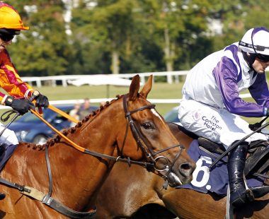 Sport in Worcestershire