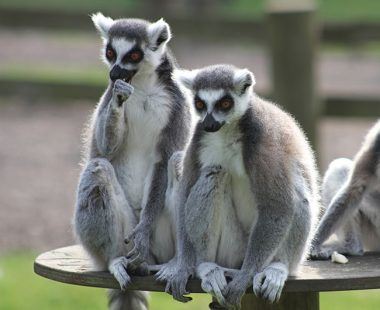 Top 10 things to do in Suffolk