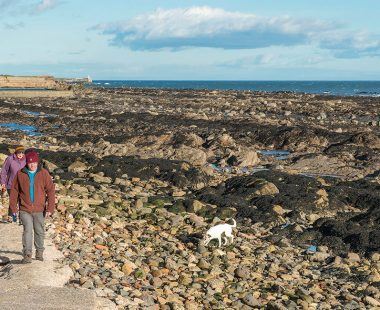 Top 10 things to do in Fife and St Andrews