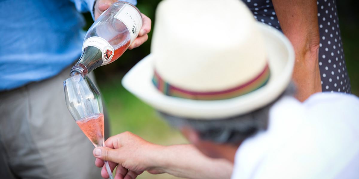 Sample the delights of Jenkyn Place vineyard