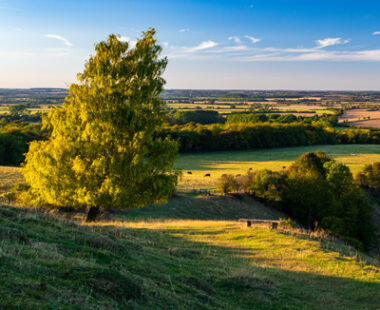 How to spend 48 hours in Bedfordshire