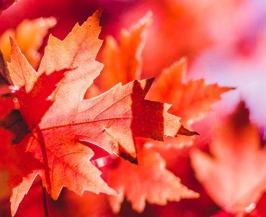 The 7 best autumnal walks in the UK and Ireland