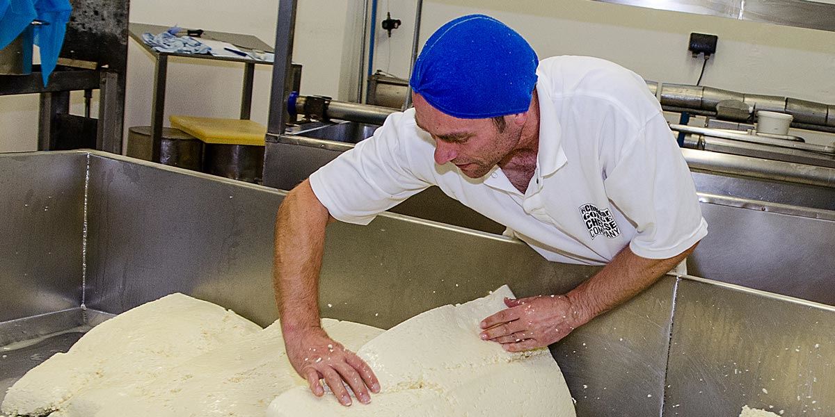 Cheese making process at the Cheddar Gorge Cheese Company, Somerset