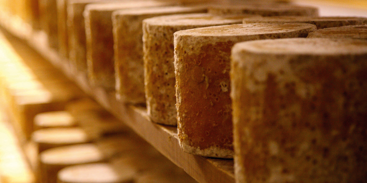 Cheese at Colston Bassett Dairy in Nottinghamshire