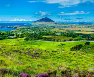 How green is the Emerald Isle?