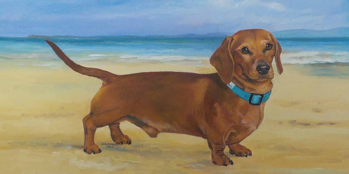 Cornerways Art, a painting of a dachshund standing on a beach 