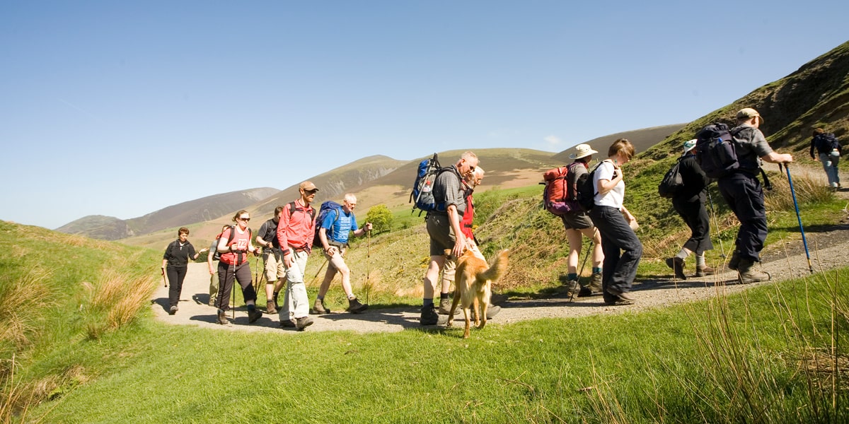 Group of hikers and a dog climbing a mountain in the Lake District, Keswick 