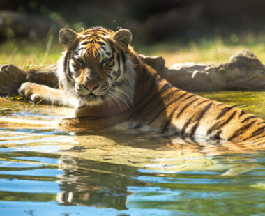 Outdoor adventures in Kent