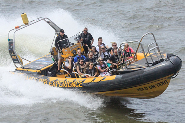 Thames RIB Experience on the River Thames