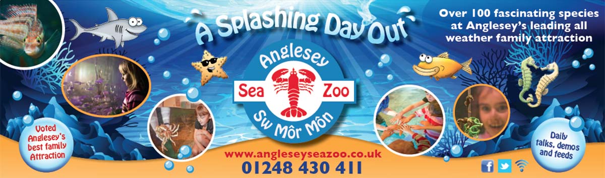 Banner advertisement for Anglesey Sea Zoo, Conwy