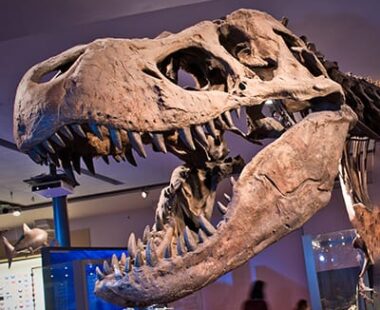 Galleries and museums in Newcastle and Gateshead