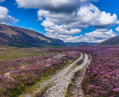 Must-visits in Dundee, Angus and Perthshire