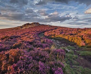 Things to see and do in Shropshire and Denbighshire: our top picks