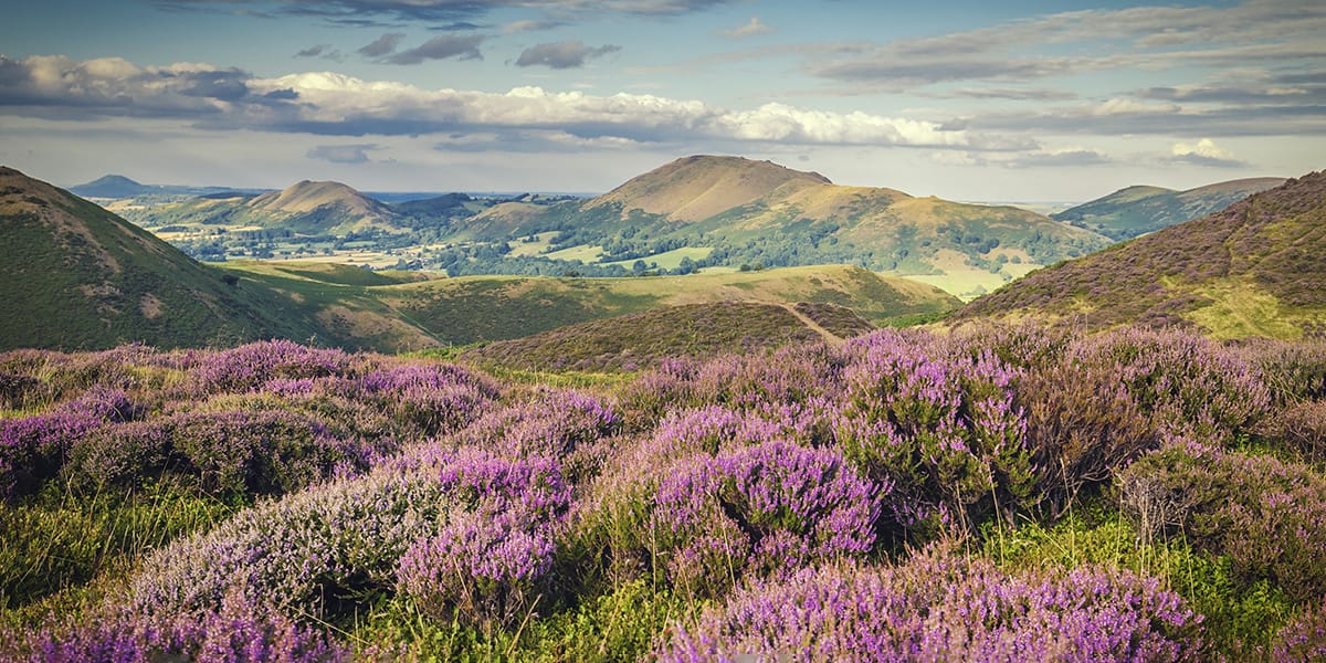 The Shropshire Hills landscape