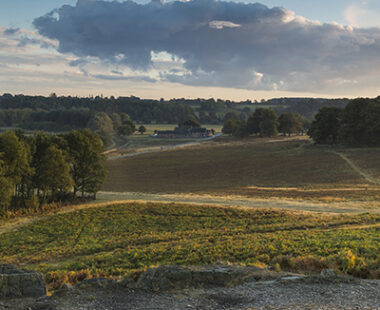 Fun for all the family in Leicester
