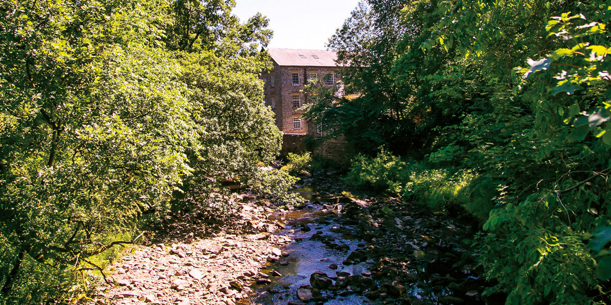 Farfield Mill