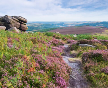 Must Do’s in South Yorkshire