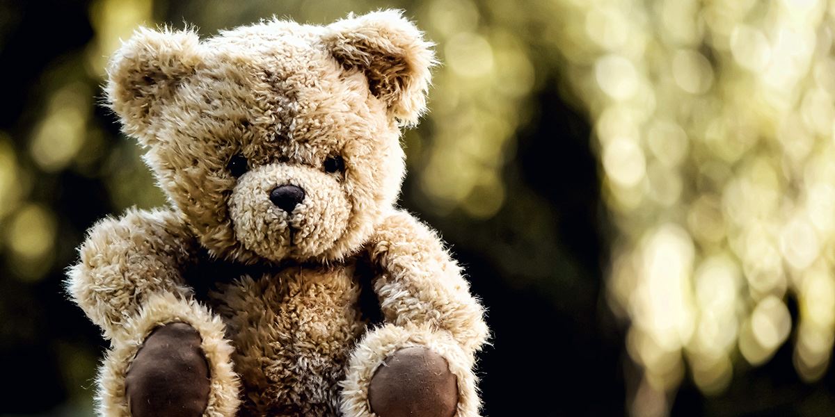 Teddy bear